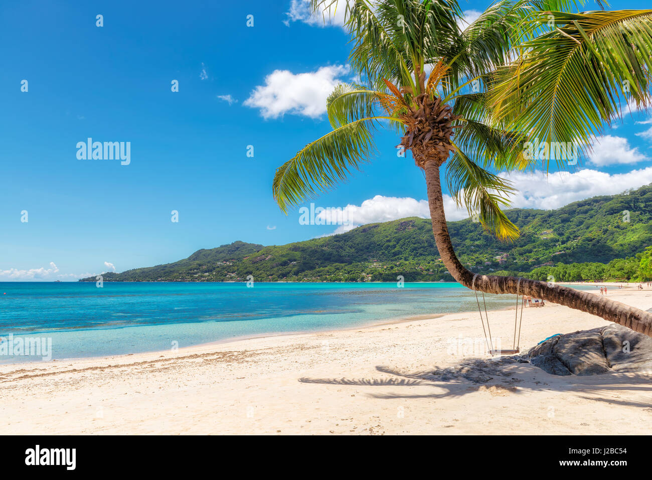 Vista sul sorprendente Beau Vallon beach con noce di cocco Palm tree sull'isola di Mahe e le Seicelle. Foto Stock