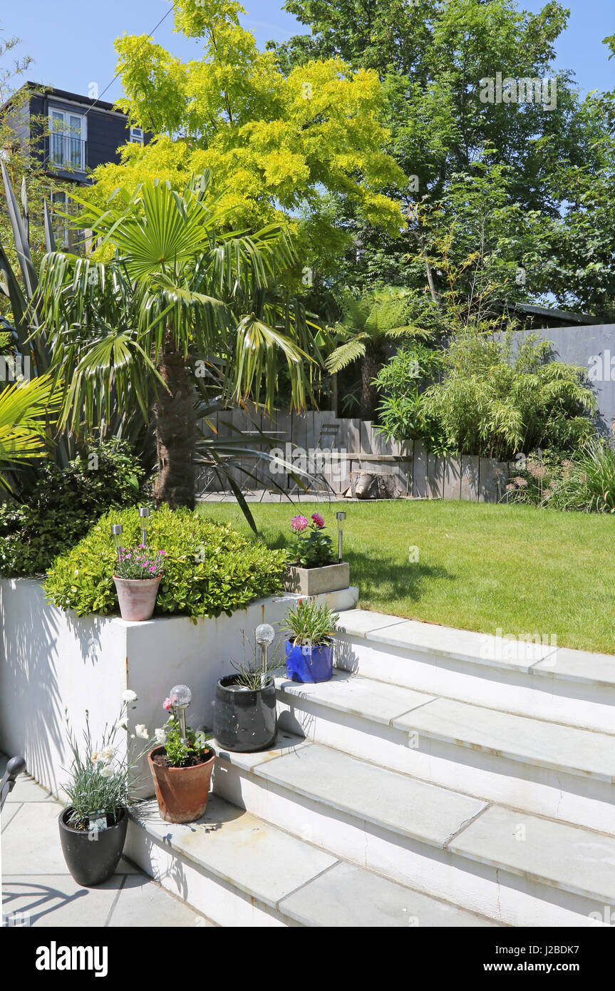 Si abbassa decorativo in vasi di stand sul patio passi in una Londra sud garden, REGNO UNITO Foto Stock