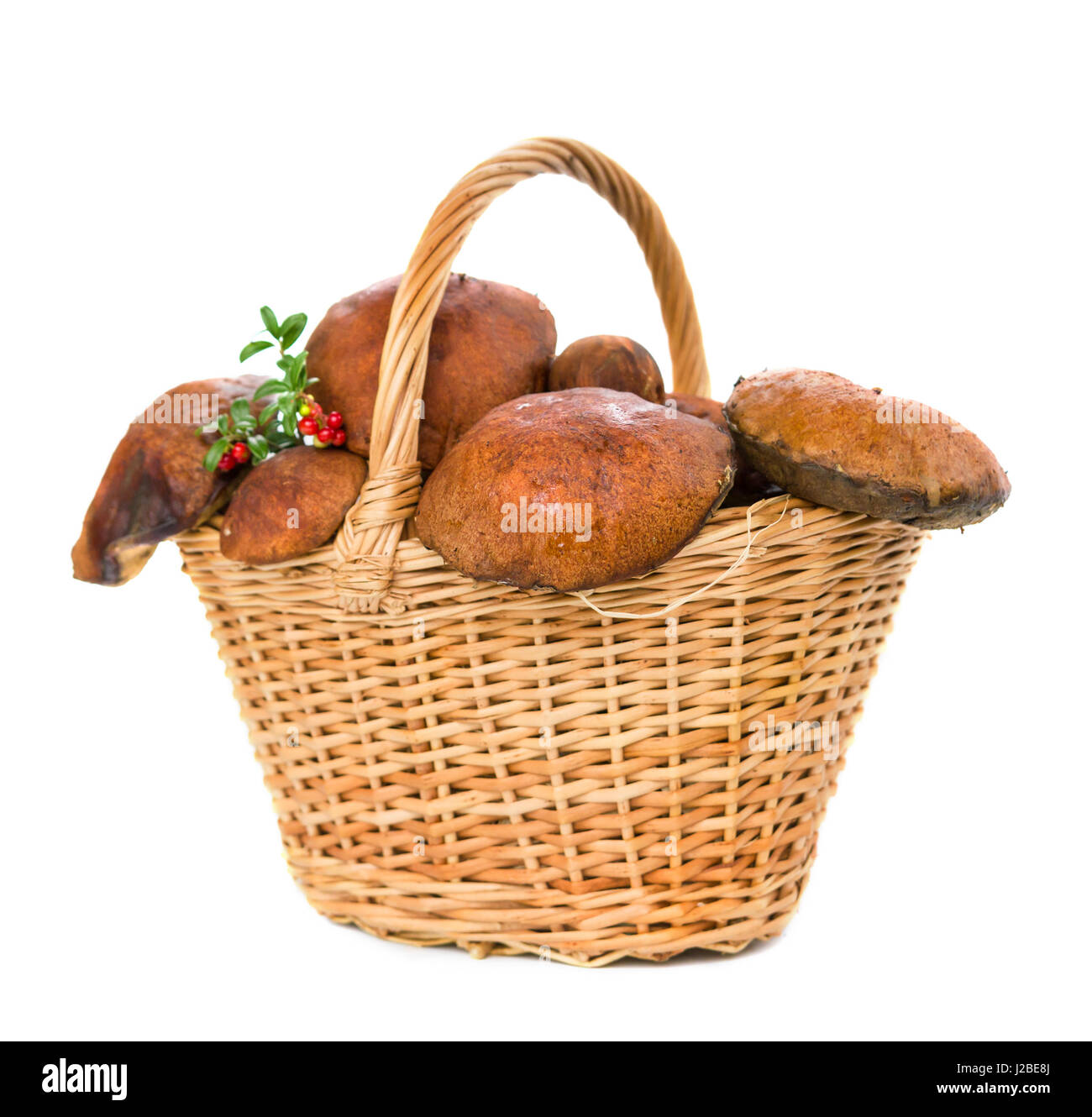 Tazza marrone fungo con mirtilli e mirtilli Foto Stock