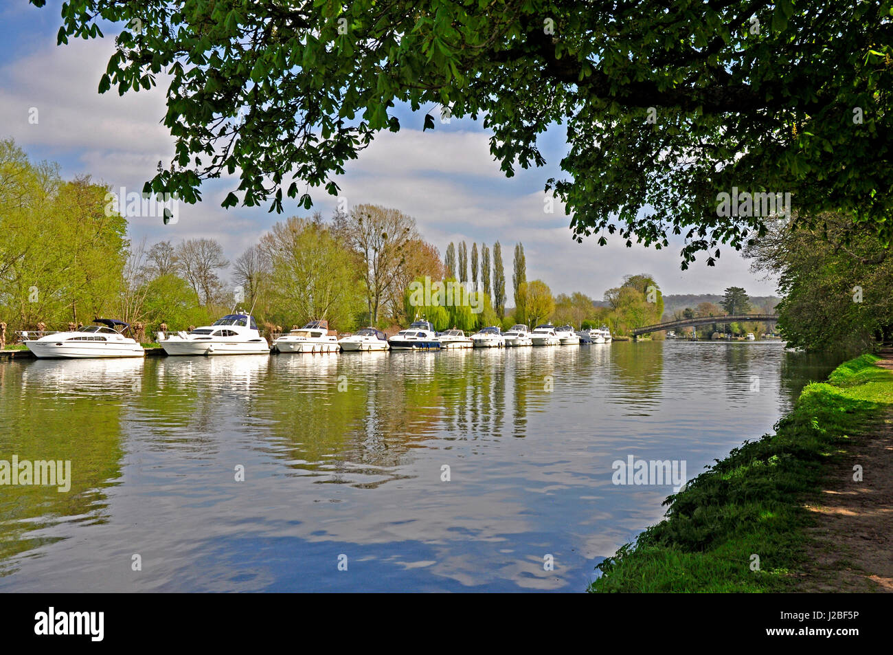 Vista fiume ormeggiate incrociatori -riflessioni nel fiume- incorniciata dagli alberi - Luce solare - cielo blu - Thames Path - Hurley Foto Stock