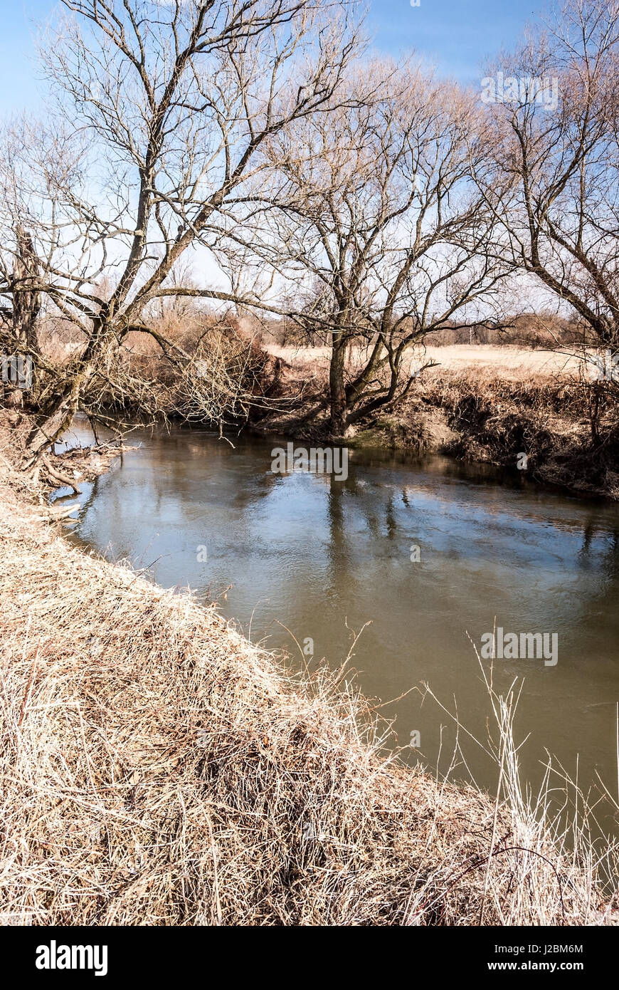 Fiume odra con alberi e cielo chiaro in chko poodri area protetta vicino studenka città in Repubblica ceca durante la primavera Foto Stock