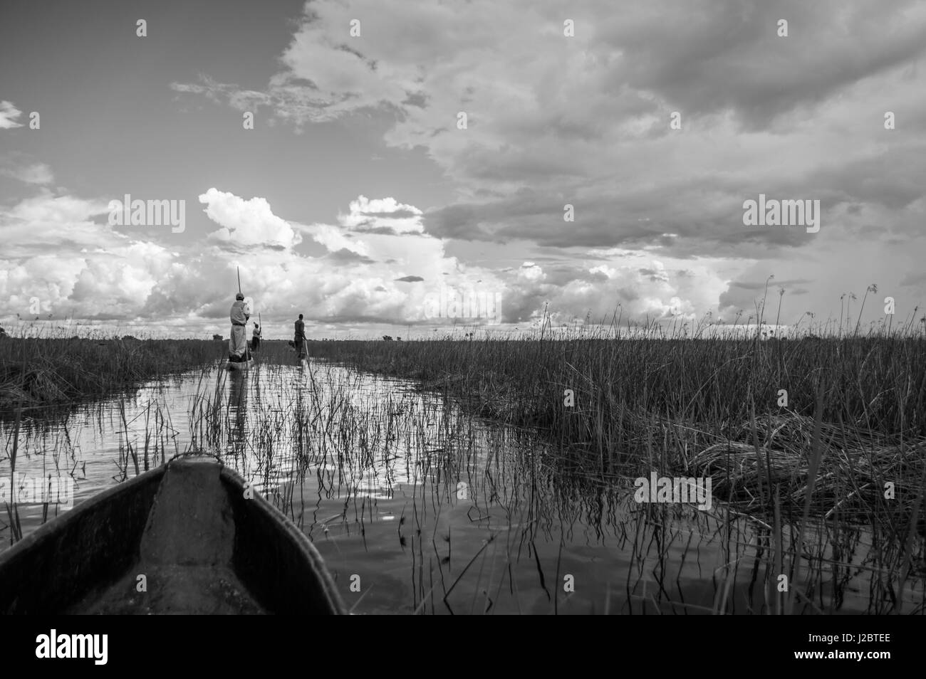 Mokoro Canoa in Okavango Delta vicino a Maun, Botswana Foto Stock