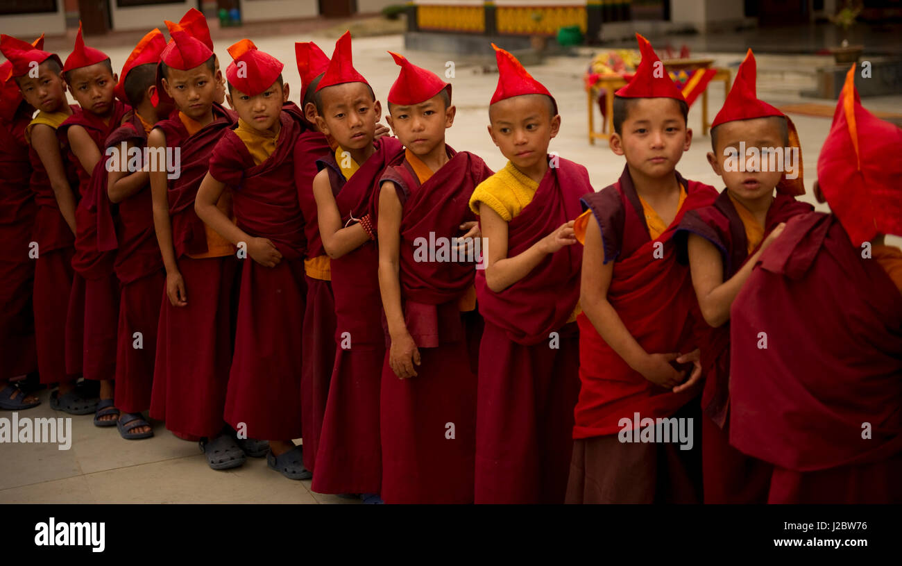 Buddista monaco novizio preparando per un Losar processione in Sikkim, India Foto Stock