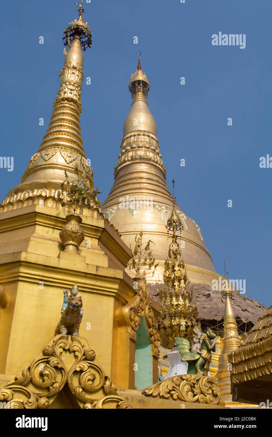 Myanmar (Birmania), Yangon (Rangoon). Shwedagon pagoda, il più sacro santuario buddista in Myanmar e il più ornato, c. 600 BC. Il principale stupa, 326 piedi alto, coperta d'oro. Foto Stock