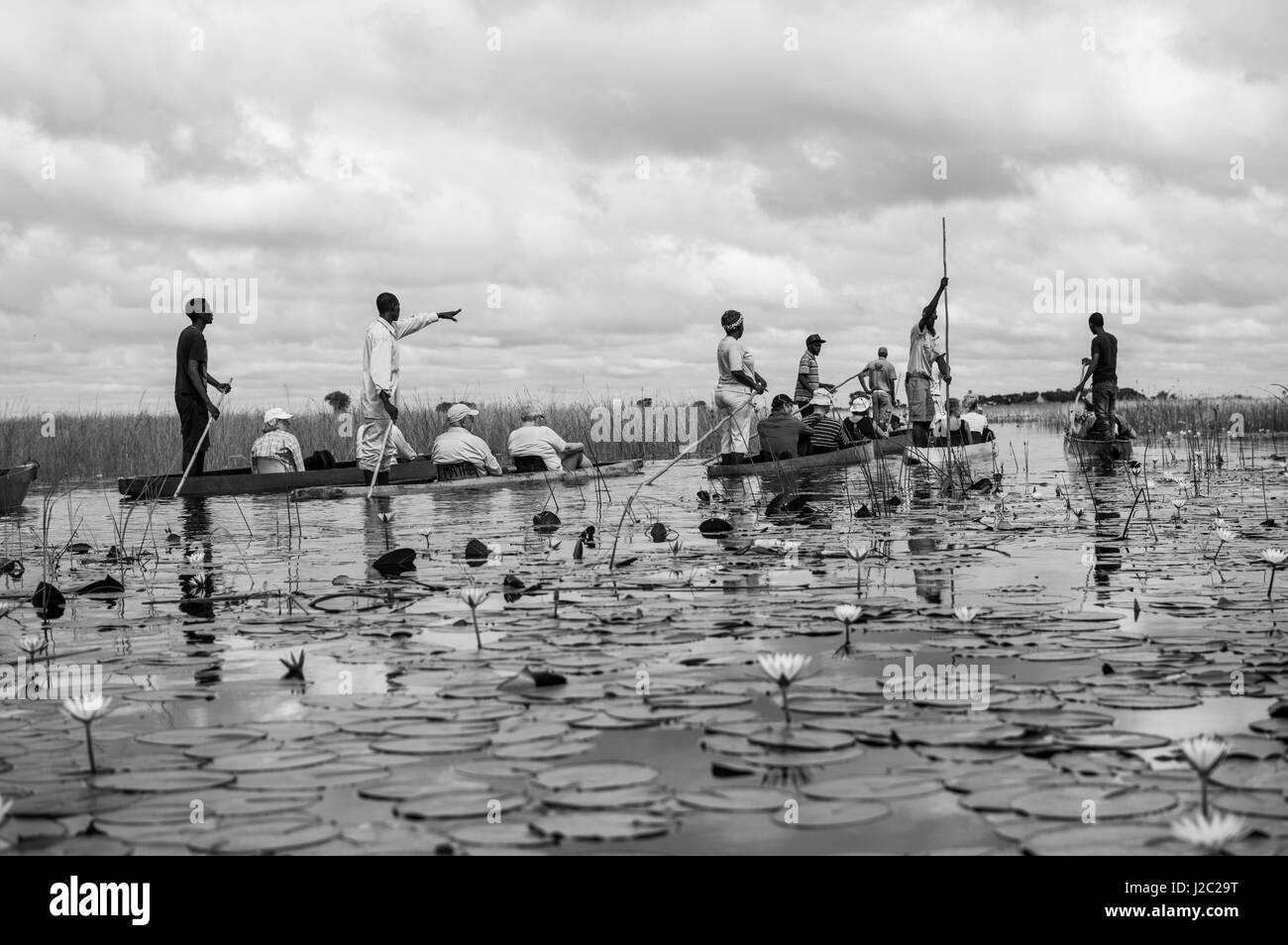 Mokoro Canoa in Okavango Delta vicino a Maun, Botswana Foto Stock