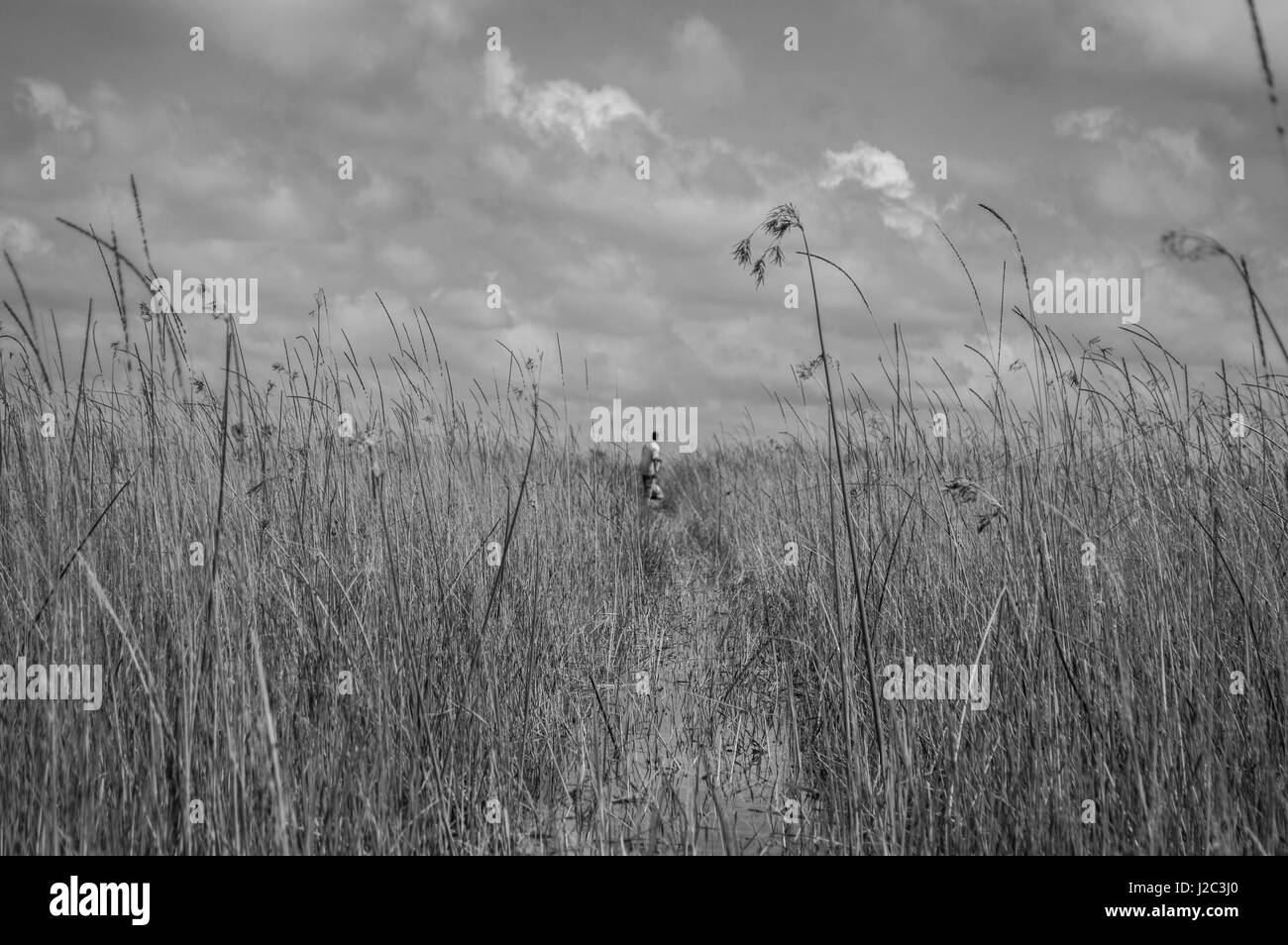 Mokoro Canoa in Okavango Delta vicino a Maun, Botswana Foto Stock