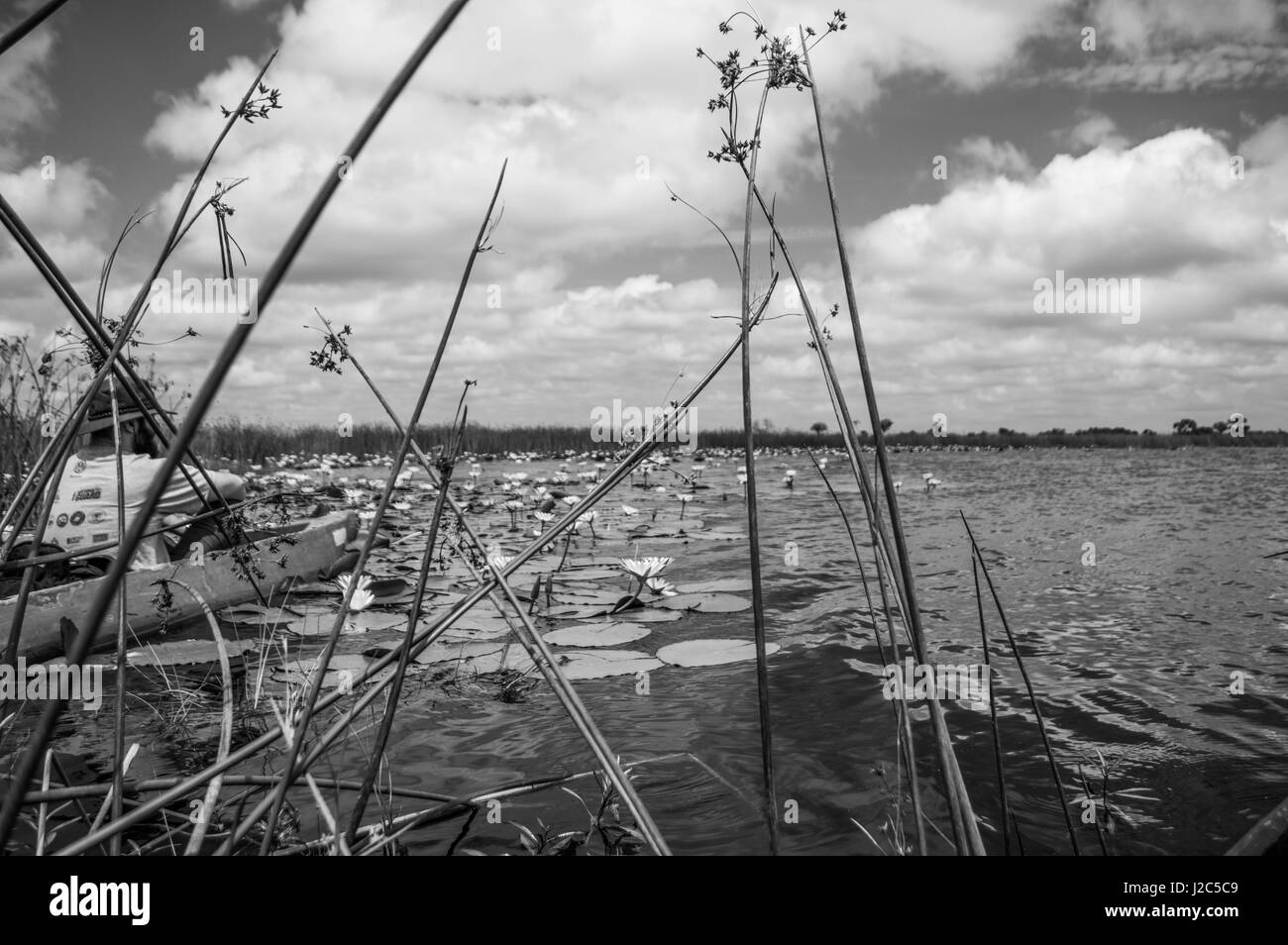 Mokoro Canoa in Okavango Delta vicino a Maun, Botswana Foto Stock