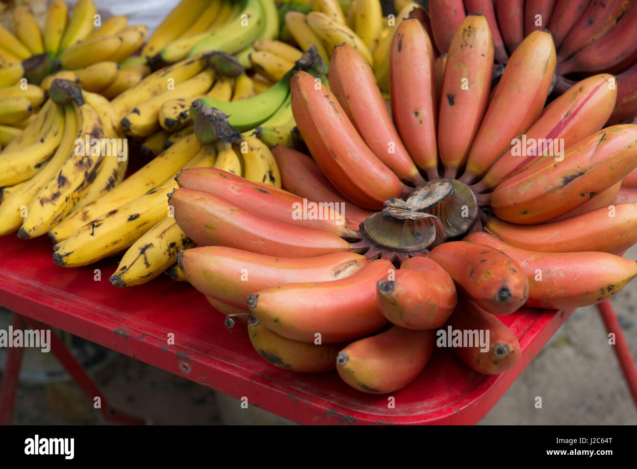 Thailandia Koh Samui, isola di Ko Samui. Banane Rosso. (Grandi dimensioni formato disponibile) Foto Stock
