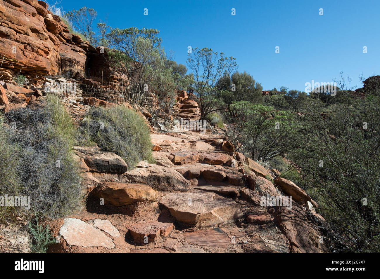 Australia, Watarrka National Park. Kings Canyon, Rim a piedi. Rocky percorso escursionistico. Foto Stock