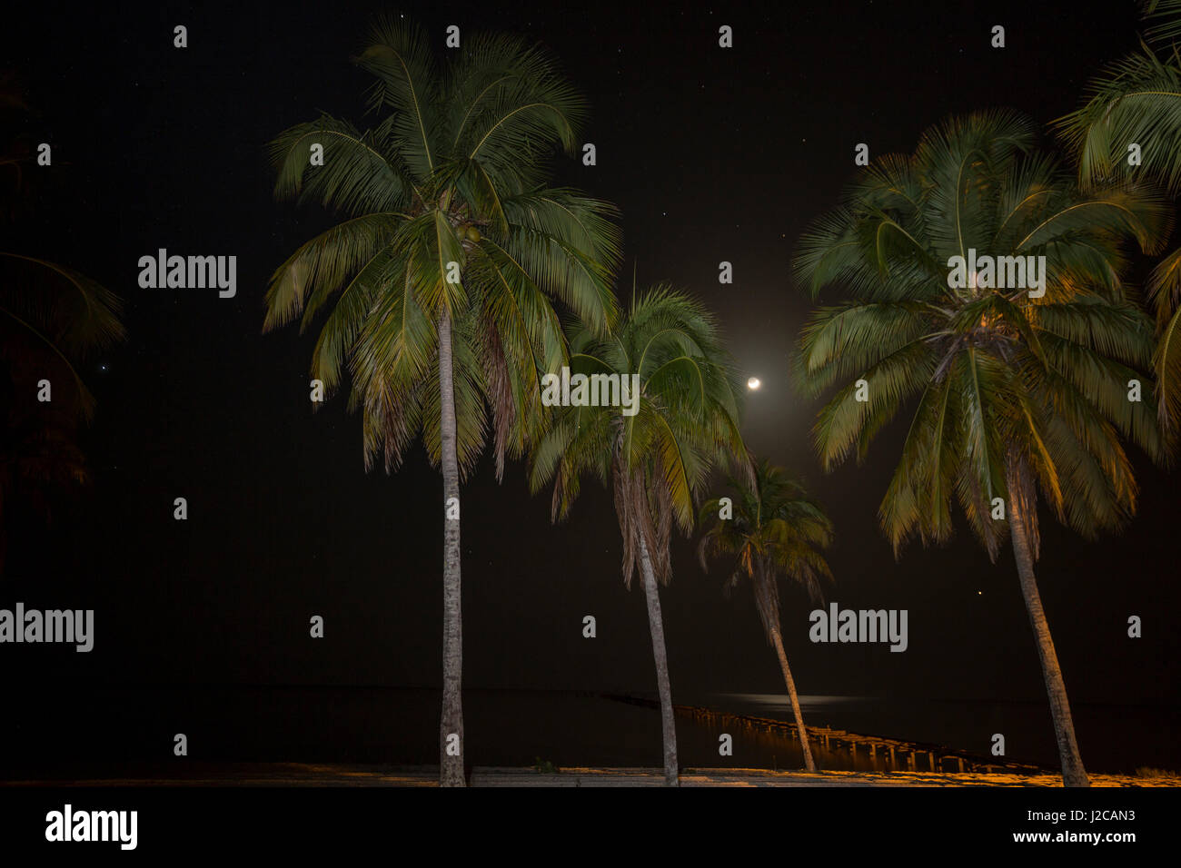 La luna tramonta tra acceso palme sulla costa di Isola della Gioventù, Cuba Foto Stock