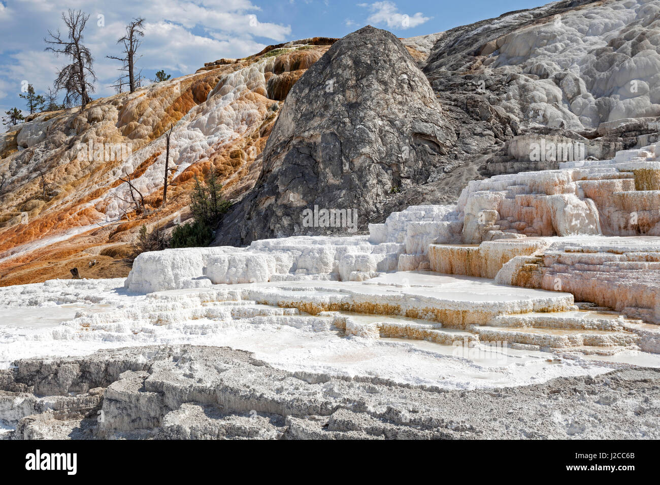 Terrazze di travertino, hot springs, depositi minerali, Palette molla inferiore, terrazze, Mammoth Hot Springs Foto Stock