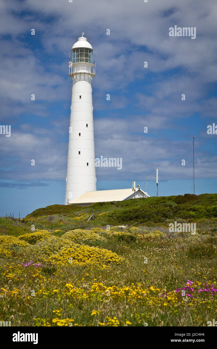 Sud Africa, Western Cape, Garden Route, intorno a Cape Town. La spiaggia di Kommetjie. Si tratta di un posto sulla costa occidentale della Penisola del Capo in Sudafrica Foto Stock