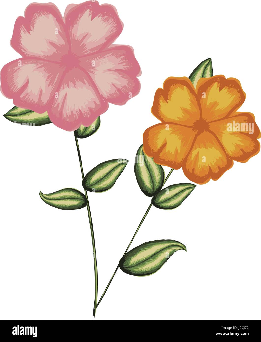 Acquerello silhouette di malva pianta con fiori rosa e arancio Illustrazione Vettoriale