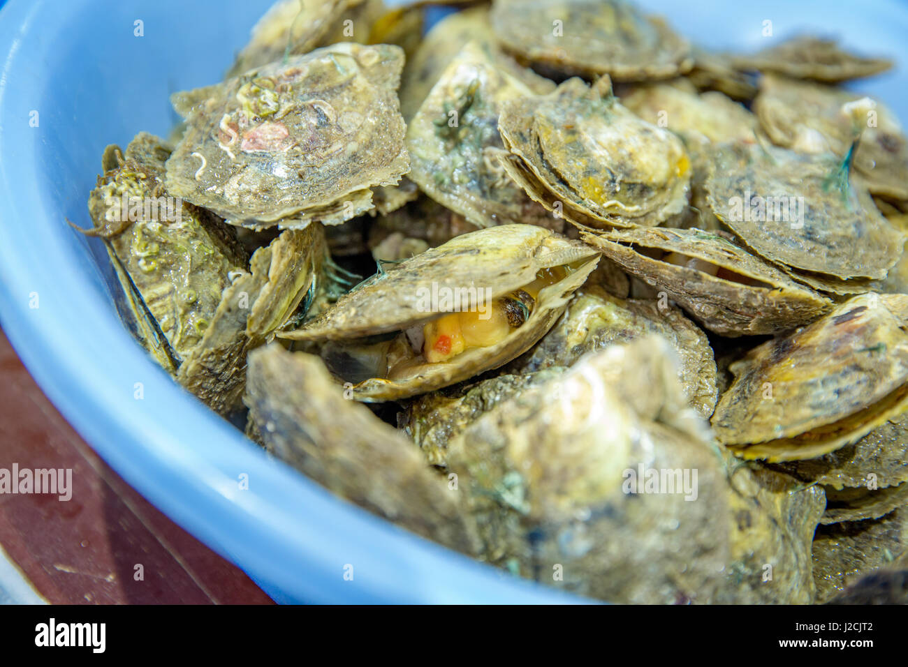 Il Vietnam, Quảng Ninh, thành phạ Hạ Long, Legenda Perla Halong Bay. Pearl Farm nella Baia di Halong. L'allevamento delle ostriche e perle oyster Foto Stock