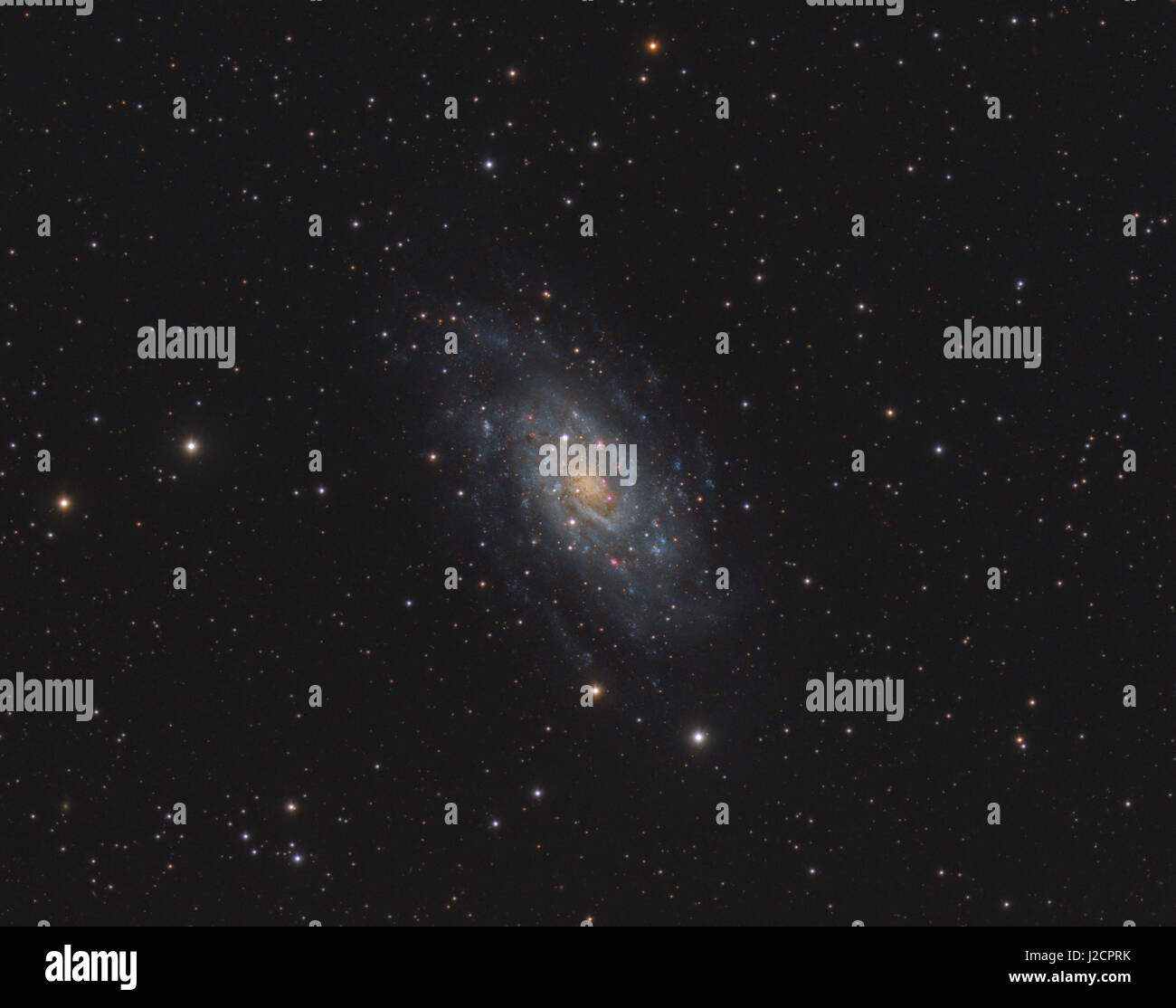 NGC 2403 (Caldwell 7) - un intermedio galassia a spirale nella costellazione Camelopardalis. Si tratta di un elemento periferico del gruppo di M81, Foto Stock