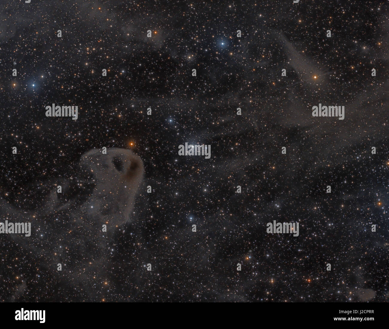 Baby Eagle Nebula (Vulture Head Nebula, LBN 777) - riflessione nebula in Toro. Il dark Brown patch a destra di l'aquila occhio è Barnard 207. Foto Stock