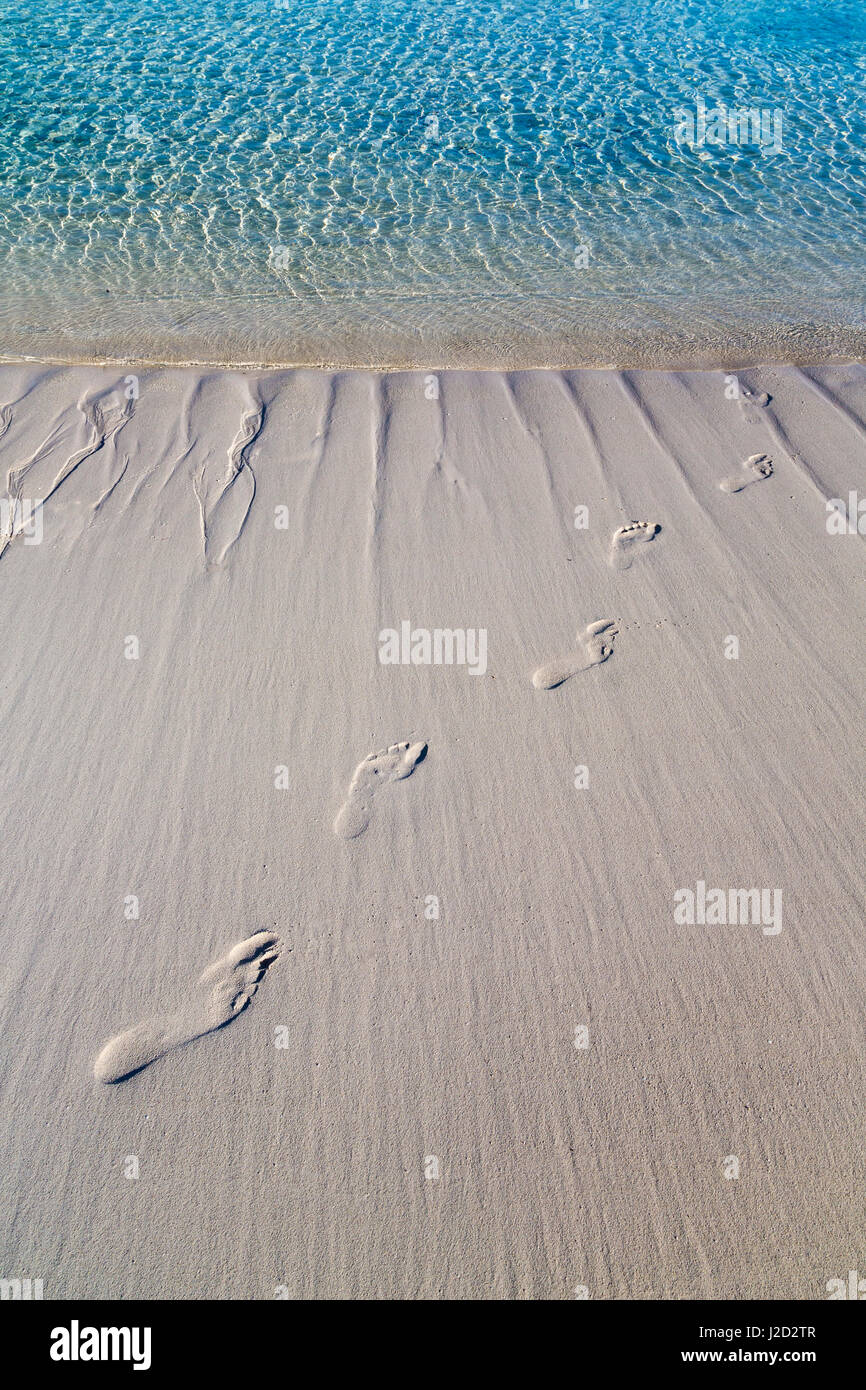 Bahamas, Isola di Exuma Cays, per terra e per mare Park. Orme di sabbia. Credito come: Don Paulson Jaynes / Galleria / DanitaDelimont.com Foto Stock
