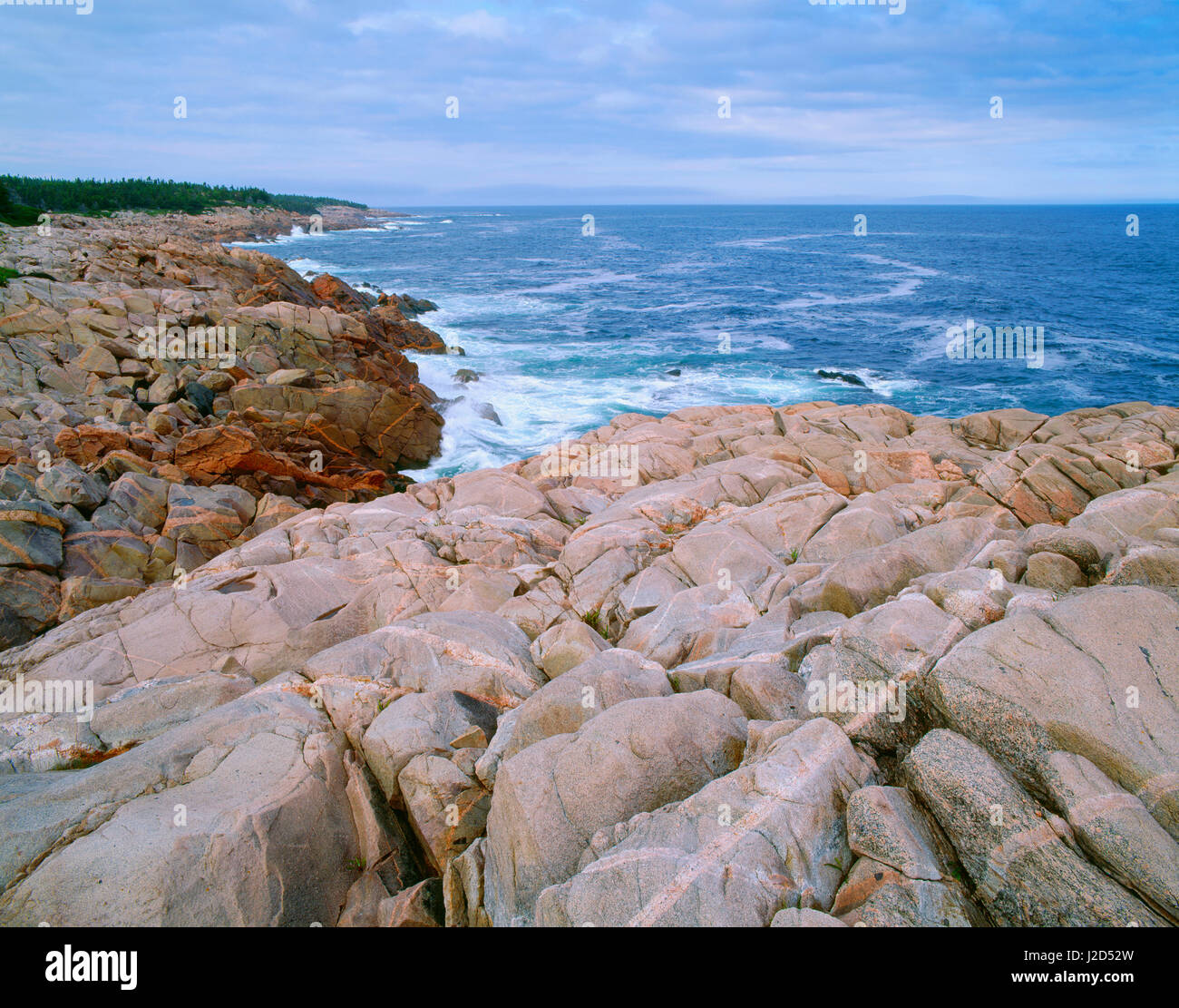 Canada, Nova Scotia, Cape Breton Highlands National Park, intrusioni ignee nel roccioso, coste di granito formare strisce a McKinnon's Cove. (Grandi dimensioni formato disponibile) Foto Stock