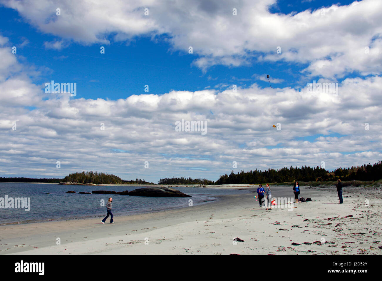Canada, Nova Scotia, sponda orientale. Aquiloni sulla spiaggia a testa di Taylor Parco Provinciale. Foto Stock