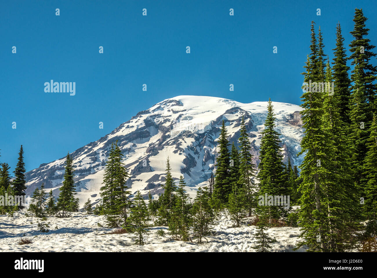 Mt. Rainier nello Stato di Washington Foto Stock