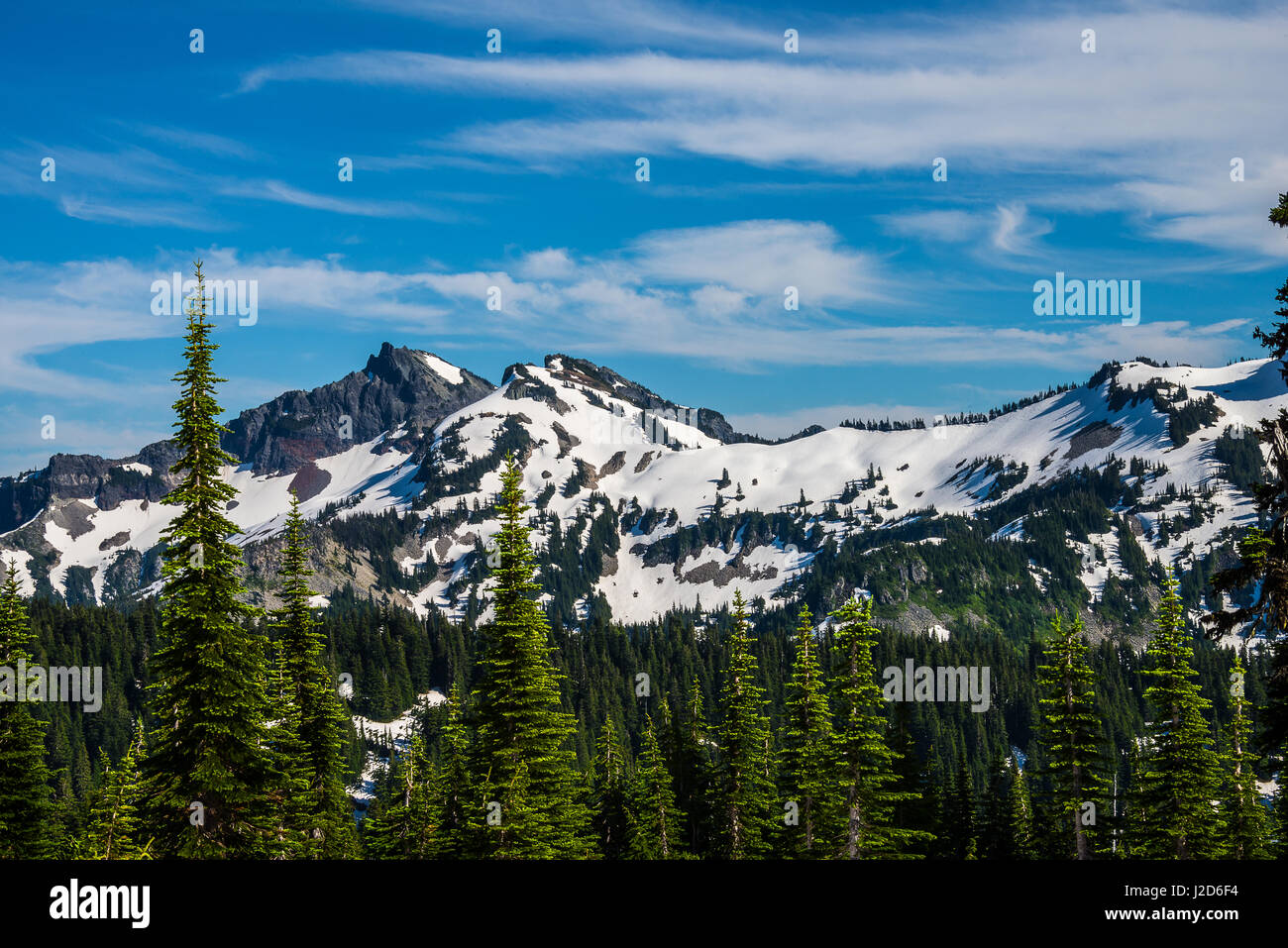 Mt. Rainier nello Stato di Washington Foto Stock