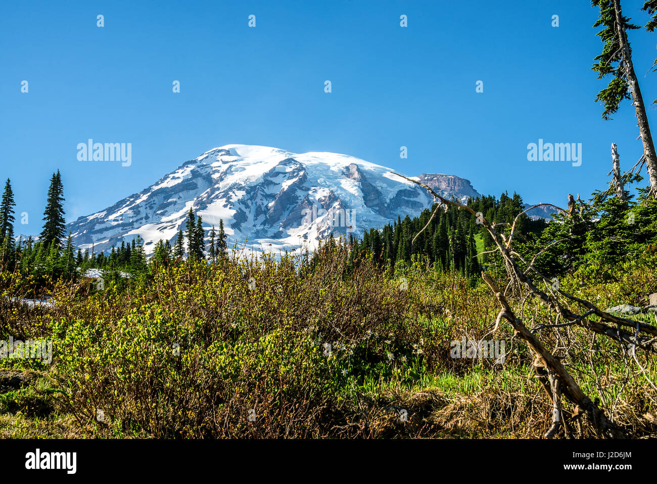 Mt. Rainier nello Stato di Washington Foto Stock