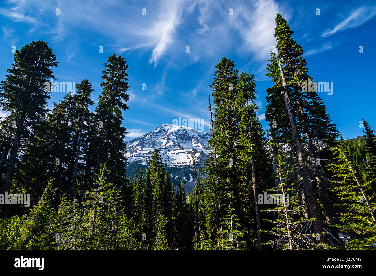 Mt. Rainier nello Stato di Washington Foto Stock