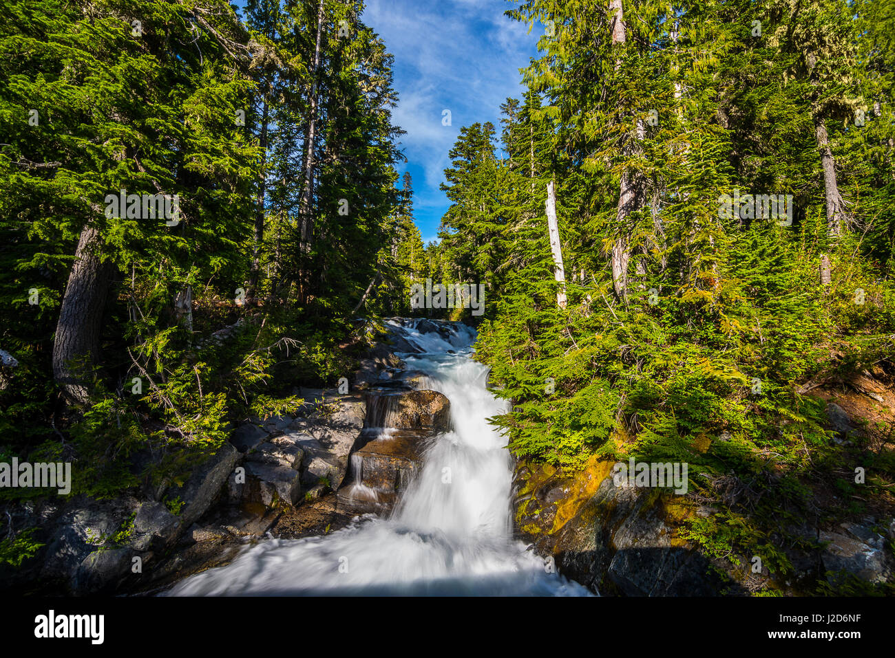 Mt. Rainier nello Stato di Washington Foto Stock
