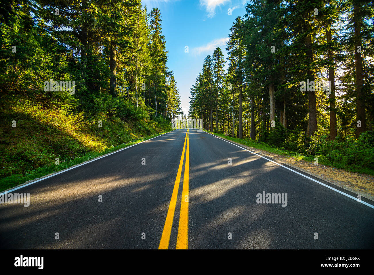Mt. Rainier nello Stato di Washington Foto Stock
