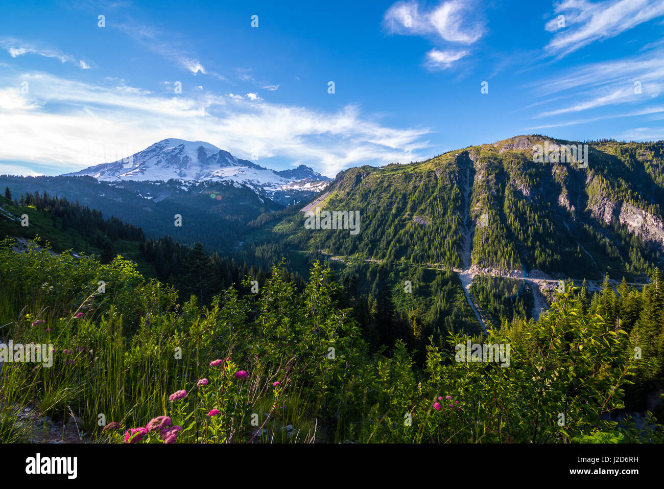 Mt. Rainier nello Stato di Washington Foto Stock