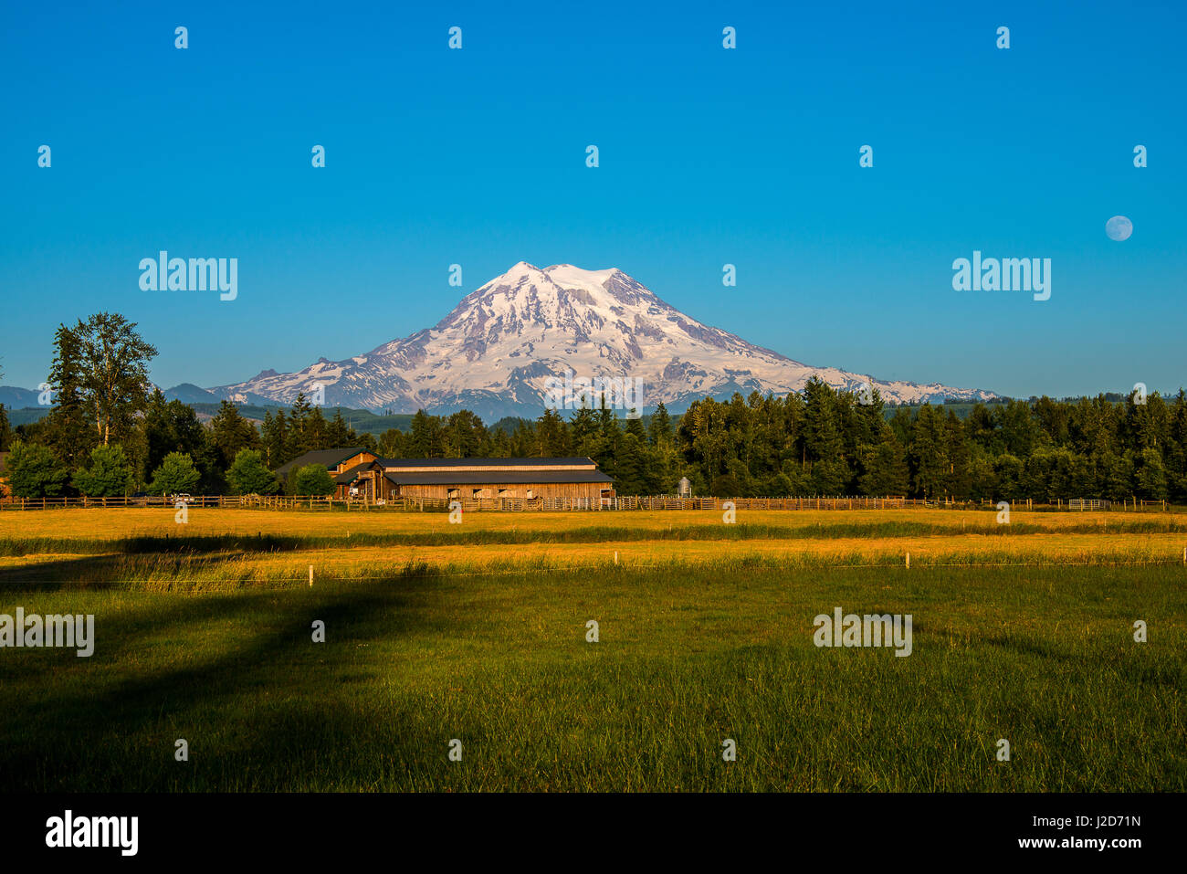 Mt. Rainier nello Stato di Washington Foto Stock