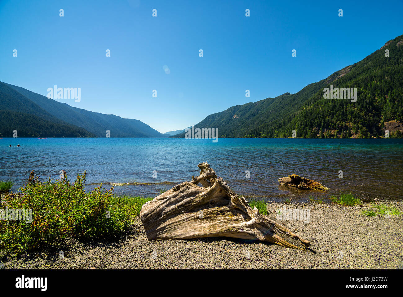 Stato di Washington Foto Stock