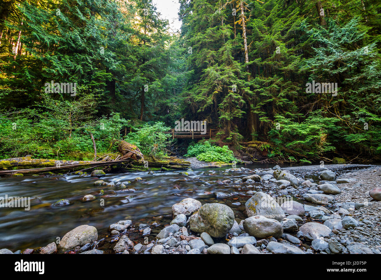 Stato di Washington Foto Stock