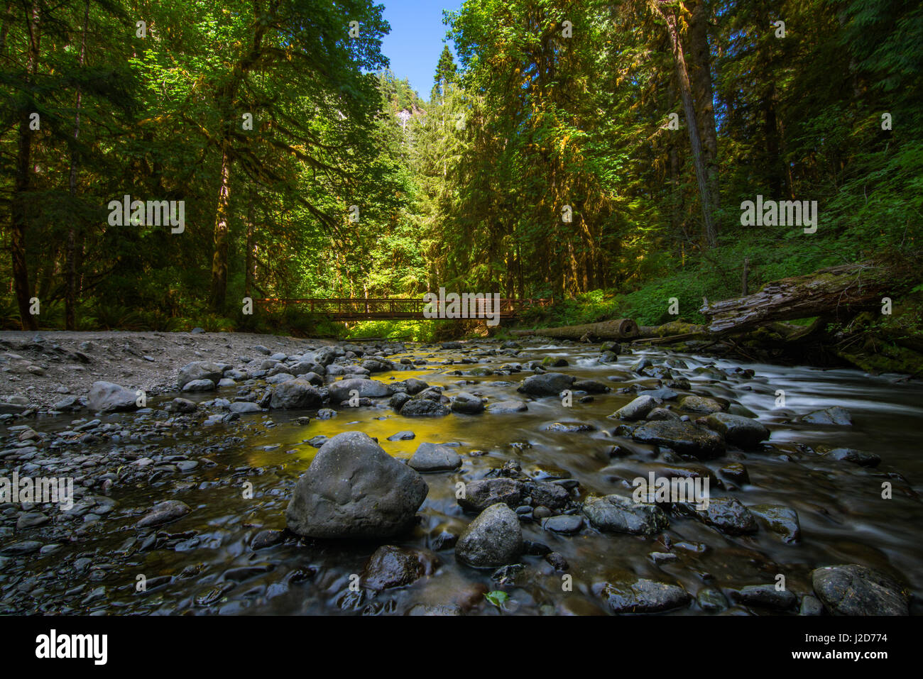 Stato di Washington Foto Stock