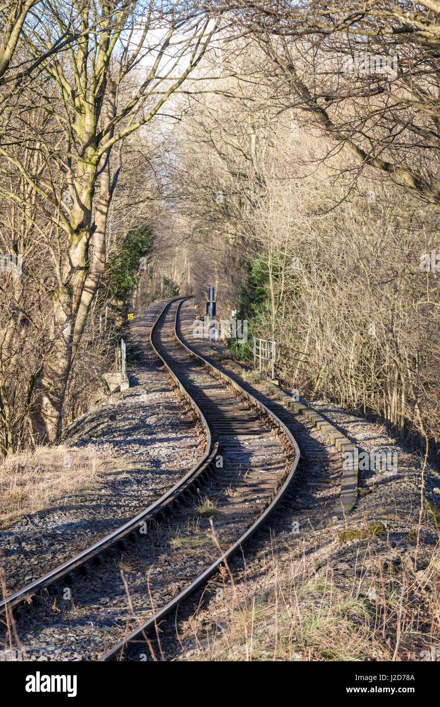 Traccia singola linea ferroviaria attraverso il bosco, Speranza, Derbyshire, England, Regno Unito Foto Stock
