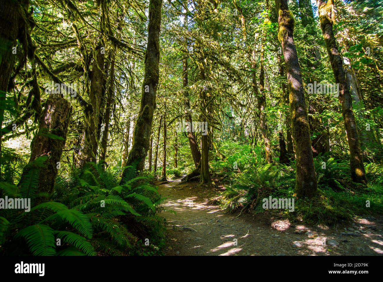 Stato di Washington Foto Stock