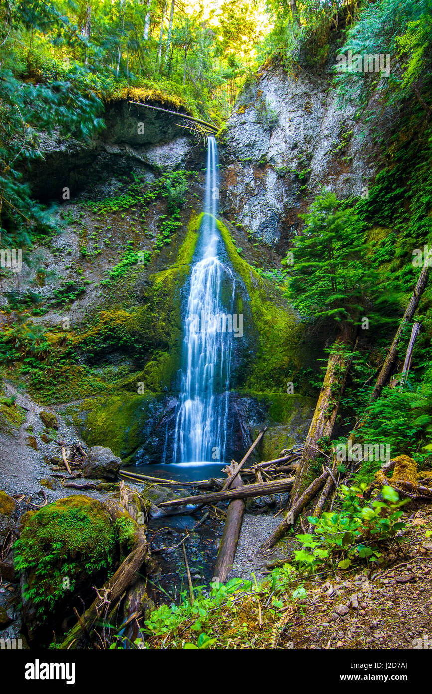 Stato di Washington Foto Stock