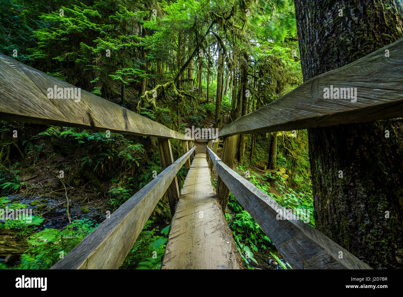 Stato di Washington Foto Stock