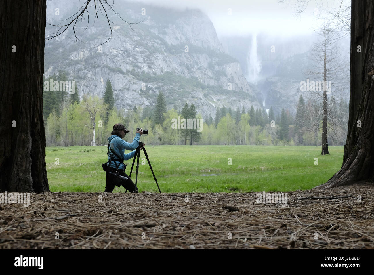 Parco Nazionale di Yosemite, CA, Stati Uniti d'America. 26 apr, 2017. Molto più grande del normale nevicata oltre l'inverno del 2016-2017 sinistra Yosemite National Park con una sovrabbondanza di acqua e diverse chiusure della strada nella valle l'ingresso meridionale e la strada che conduce alla valle di Yosemite riapriranno lunedì 1 maggio 2017. Rovere Biig strada piana era stato impraticabile per due mesi a causa di una frana, costringendo i viaggiatori a prendere un 22-Mile deviazione. In questa foto Marcia Rubin di Chagrin Falls, Ohio addestrato il suo Nikon su Yosemite Valley e la sua bellezza. Credito: Giovanni Gastaldo/ZUMA filo/Alamy Live News Foto Stock