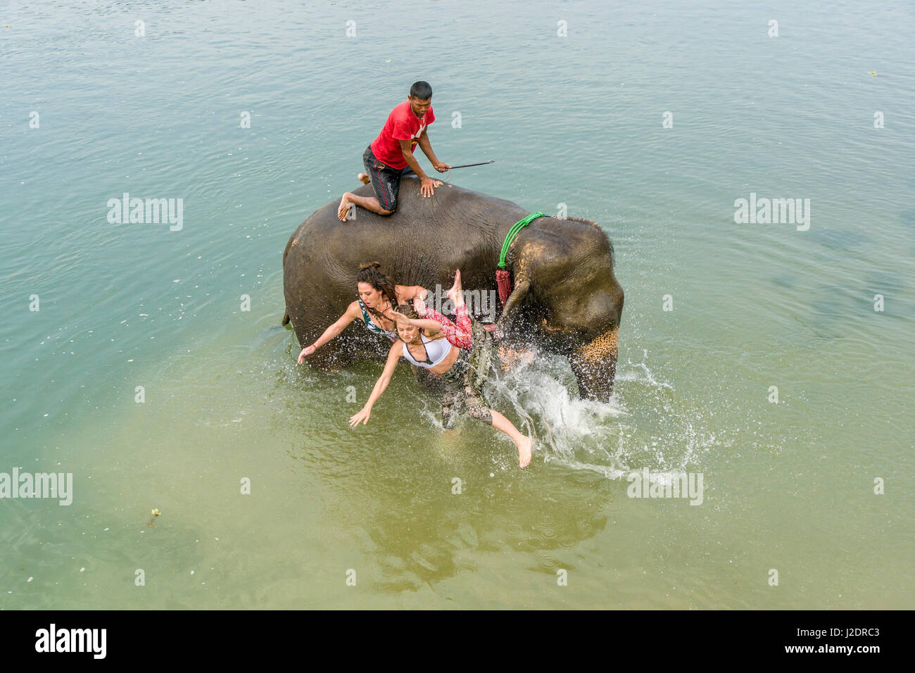 Un elefante (Elephas maximus indicus) è lanciare due donne turistica nel fiume rapti in Chitwan il parco nazionale Foto Stock