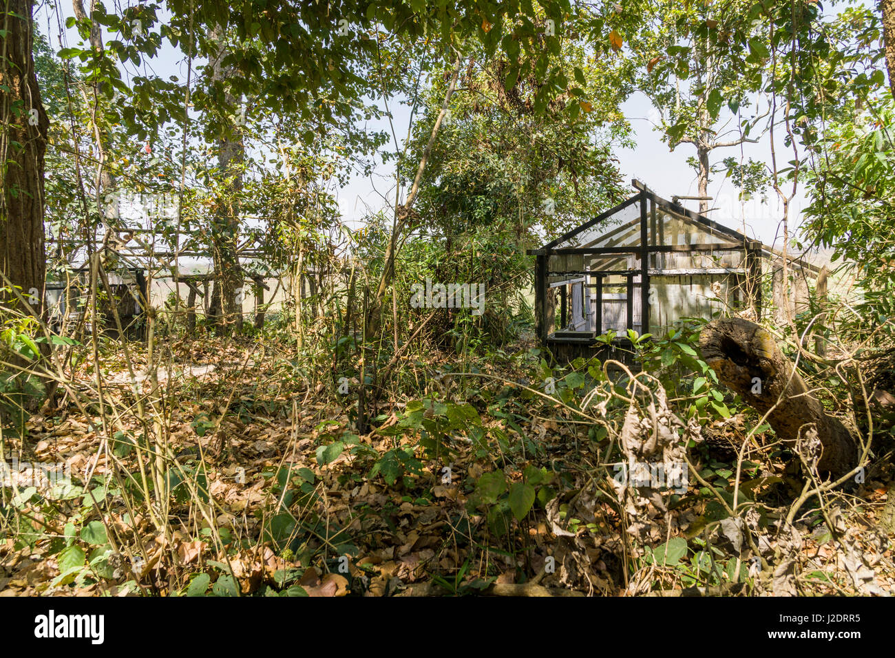 Gli edifici rovinati dell'ex tiger Tops Jungle Lodge a Chitwan il parco nazionale Foto Stock