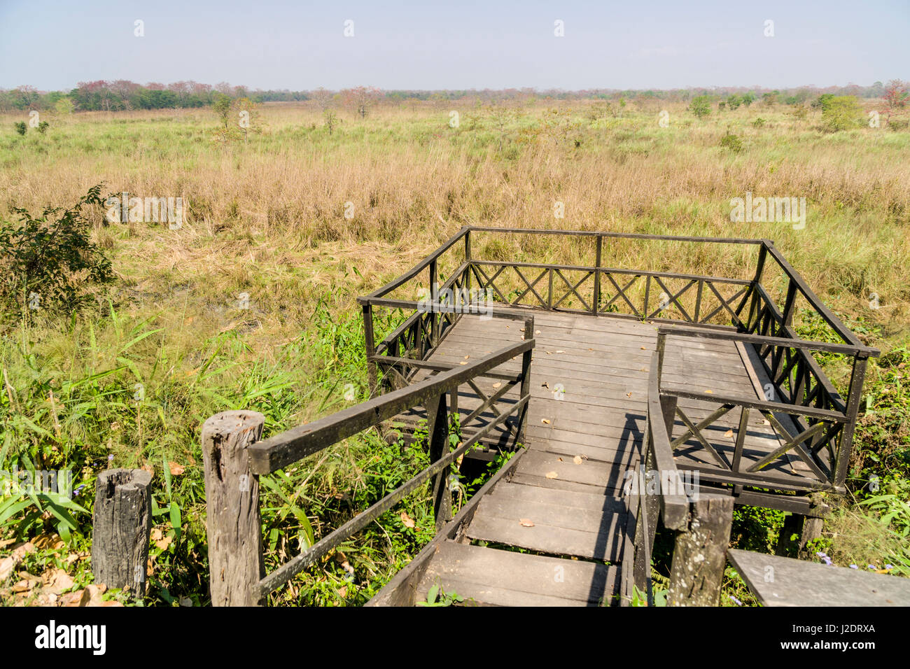 La piattaforma di osservazione dei rovinato ex tiger Tops Jungle Lodge a Chitwan il parco nazionale Foto Stock