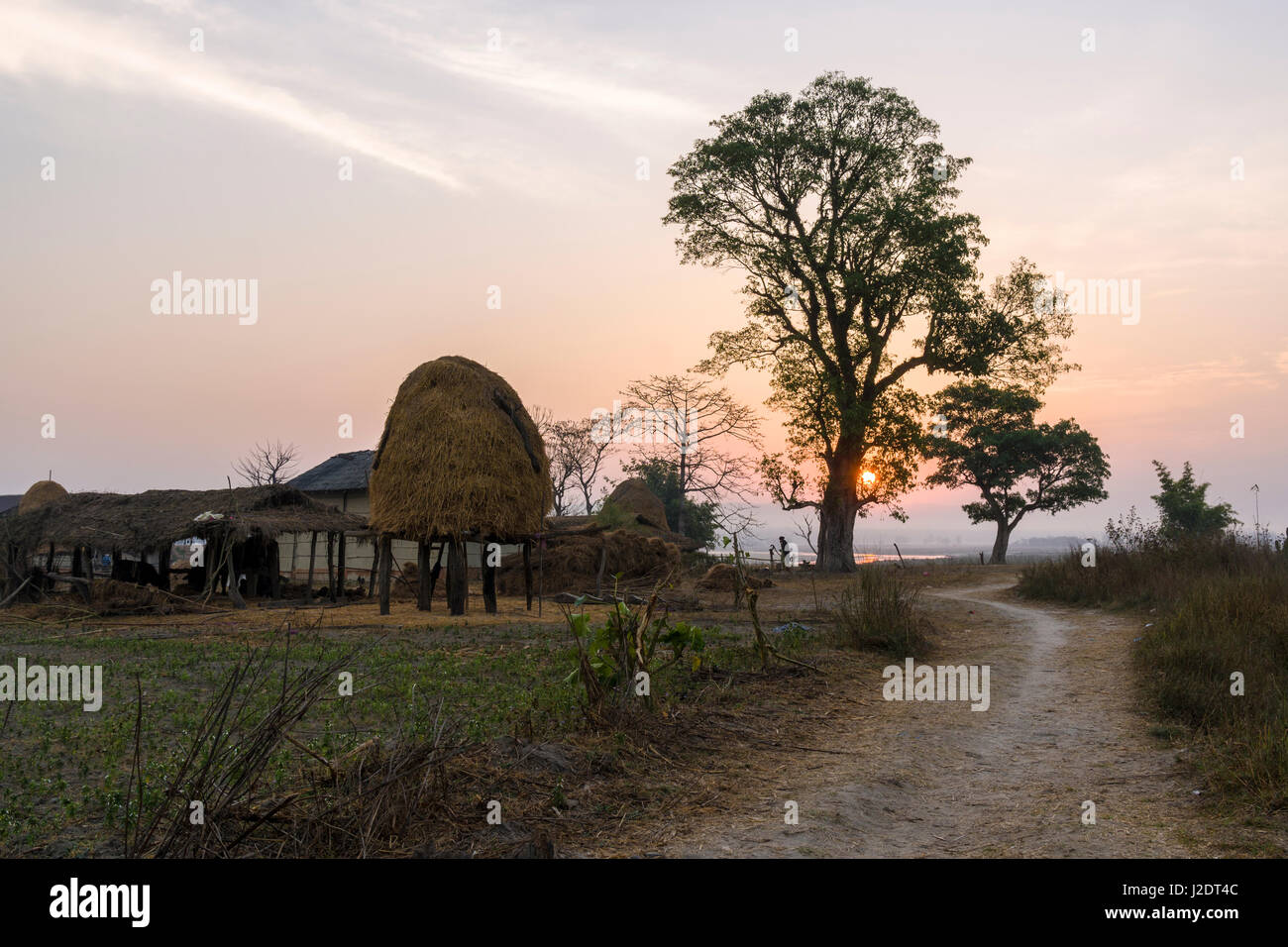 Sunrise oltre le case dei contadini del villaggio pandavnagar in Chitwan il parco nazionale Foto Stock