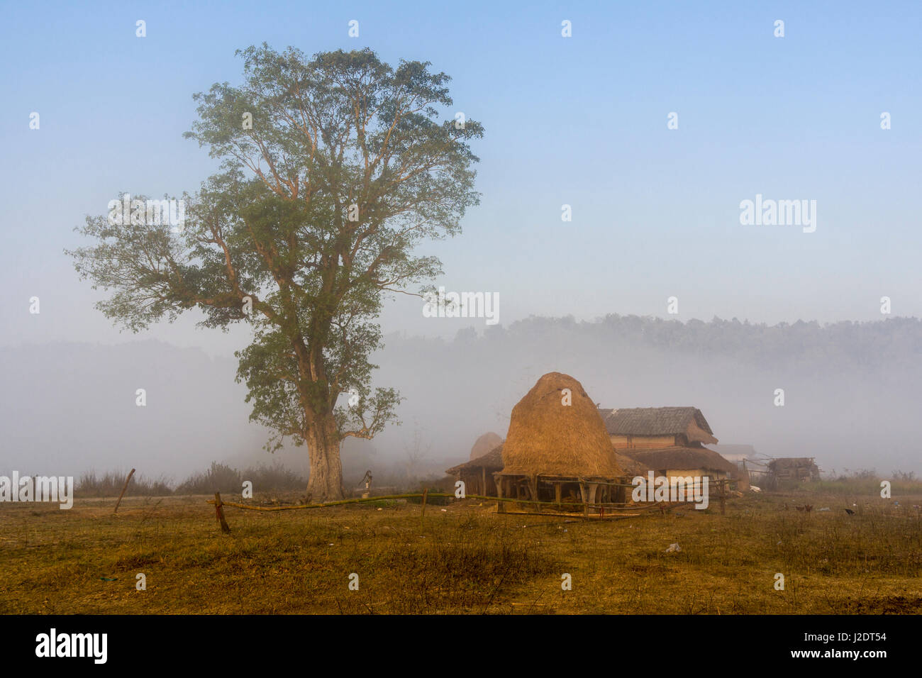 Nebbia sul prato con alberi e case coloniche del villaggio pandavnagar in Chitwan il parco nazionale dopo l'alba Foto Stock