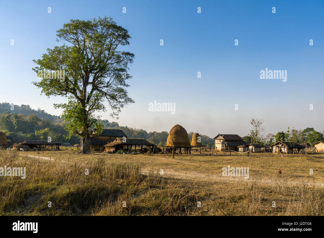 Il paesaggio agricolo con tipiche case coloniche nel villaggio pandavnagar in Chitwan il parco nazionale Foto Stock