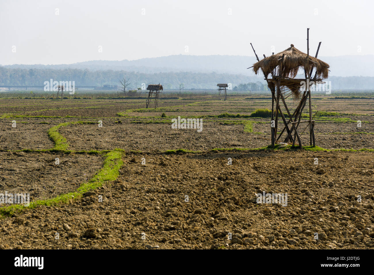 Il paesaggio agricolo con torrette di guardia vicino al villaggio pandavnagar in Chitwan il parco nazionale Foto Stock