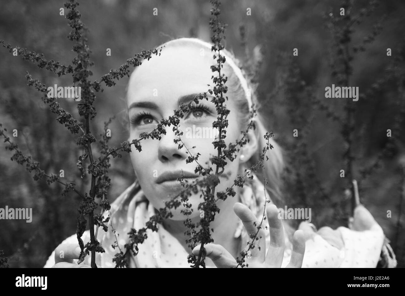 Close up ritratto della bella youngwoman dietro alcuni foresta rossa erbacce Foto Stock