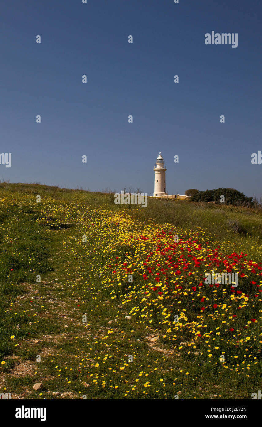 Fiori di Primavera e il faro sul promontorio di Paphos, Cipro. Foto Stock