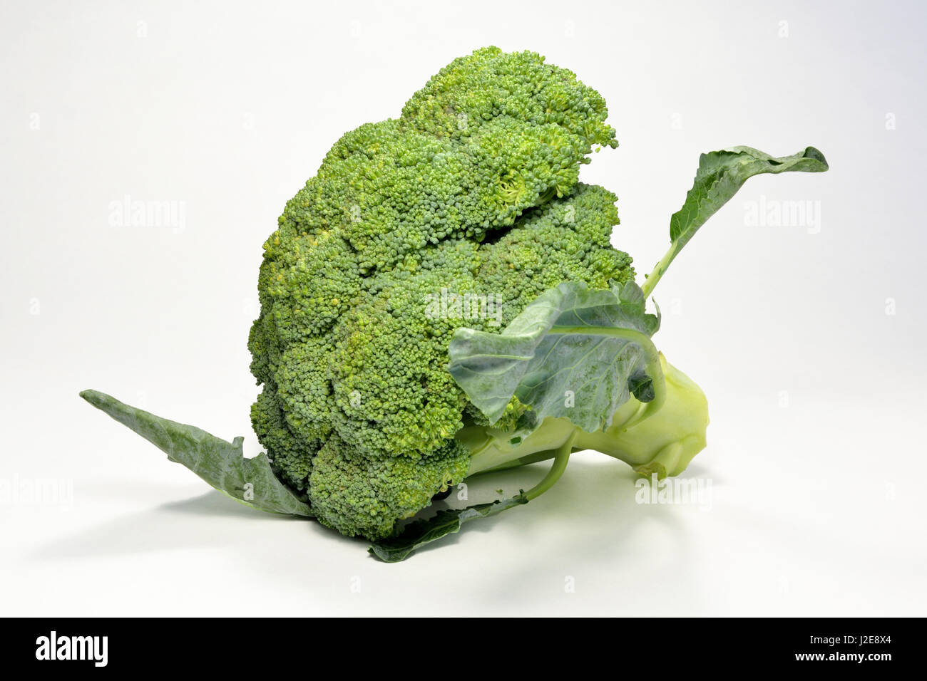 Broccoli isolati su sfondo bianco, vitamina naturale Foto Stock
