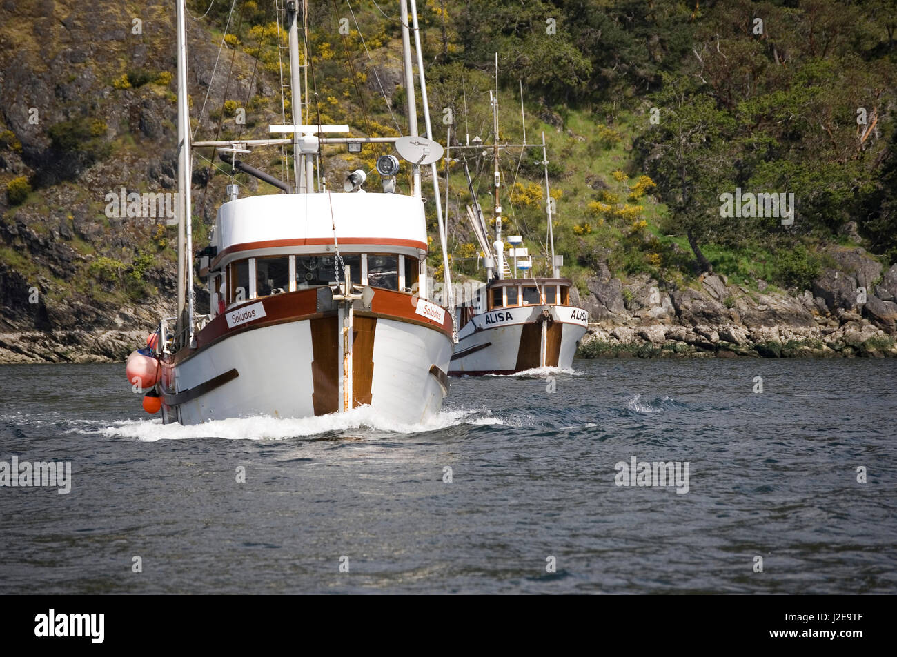 Canada, British Columbia, Vancouver. Barche da pesca Saludos e Alisa sotto potenza in Cowichan Bay Foto Stock